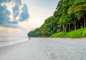 radhanagar-beach